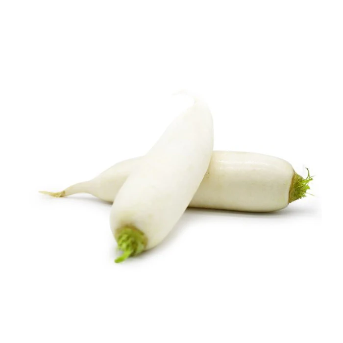 Good Quality Best Price Fresh Radish Original Fresh White Radish