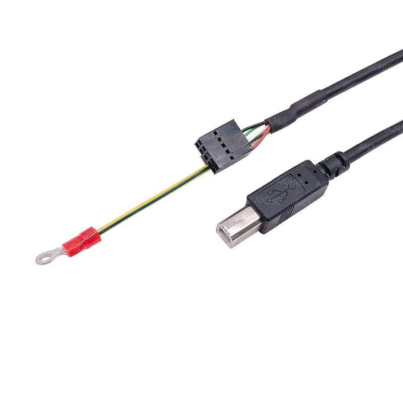 Custom High Quality USB 2.0 BM Connector Printer Cable Type B Male Cable