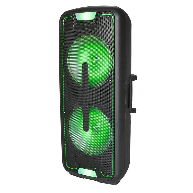 Dual Rechargeable 12 Inch Portable Bt Trolley Indoor Horn Pro Party Box Wireless Loud Speaker Audio System