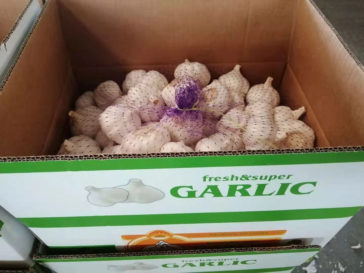 Pure white garlic to export at a low price wholesale