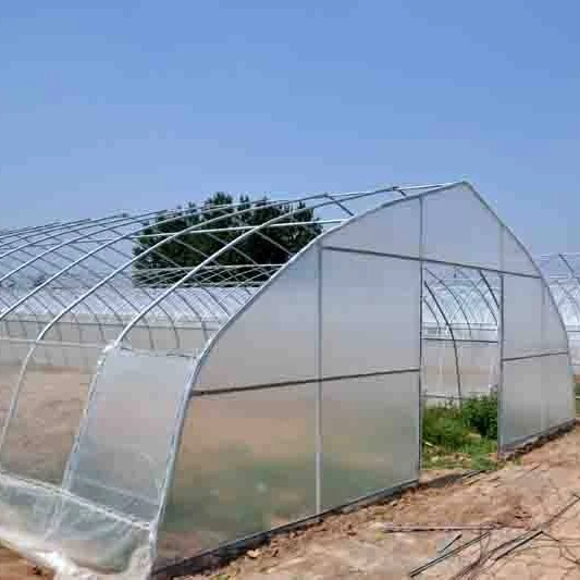 Complete single span tunnel greenhouse agricultural greenhouse turnkey project with quick construction