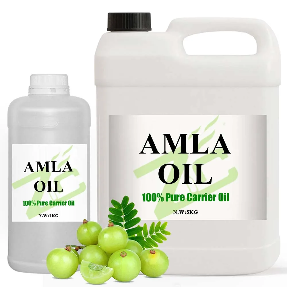 Wholesale Supply Hot Selling Organic Amla Oil 100% Pure Natural Moisturize Amla Hair Oil Bulk For Hair Scalp Care