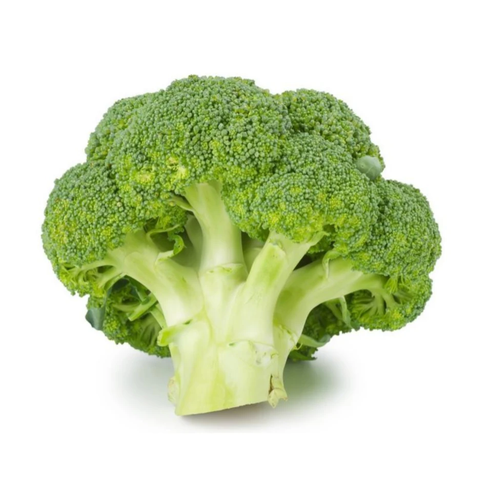 Wholesale Price Natural Organic Brocoli Vegetable Fresh Broccoli
