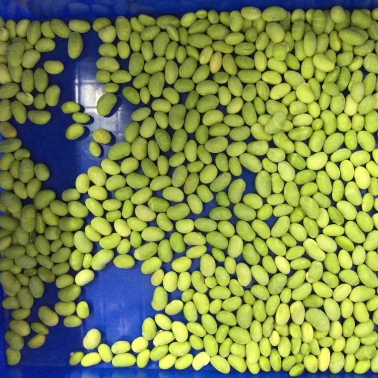 
New season iqf frozen green edamame peeled beans 