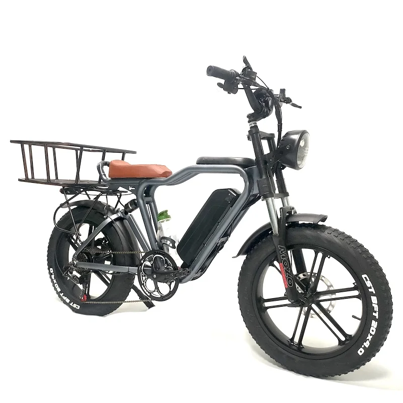 48V 1000W 22Ah Battery 20Inch Full Suspension Electric Fat Tire Family Cargo Bike Bicycle
