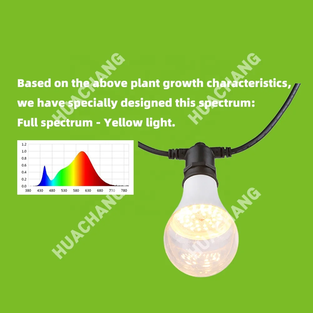 Dragon Fruit 12W Grow Light Full spectrum 15W Plant Bulb Guangdong Zhongshan Factory Wholesale LED plant growth lamp