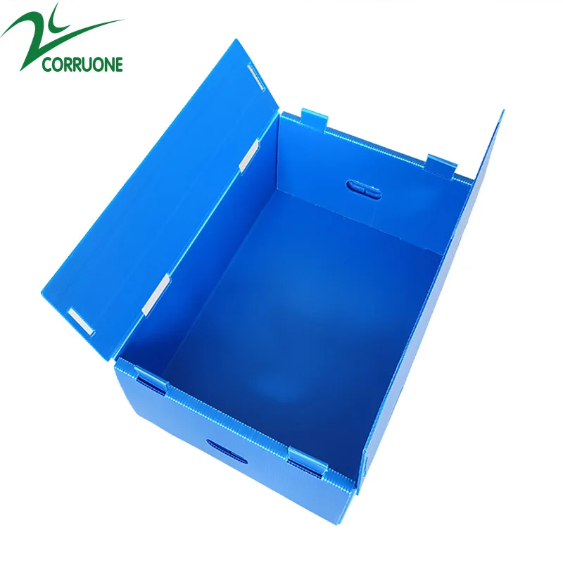 Wholesale Reusable Stackable Pp Hollow Corrugated Plastic Corflute Packaging Fruit And Vegetable Box