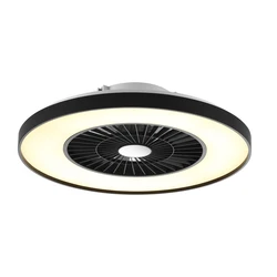 New Product High Quality Black Painting Led Residential TuYa Smart Control Ceiling Fan With Lights and Remote for home