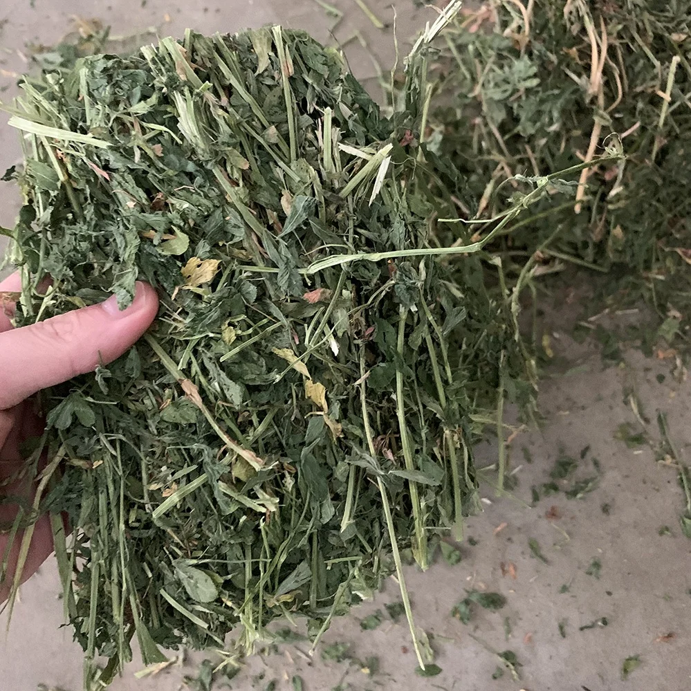 
American Good Quality Alfalfa Hay Timothy Hay Oaten Hay for Sale 