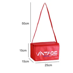 Cheap quality grocery packaging custom logo small size non woven tote insulated cooler bag for cans
