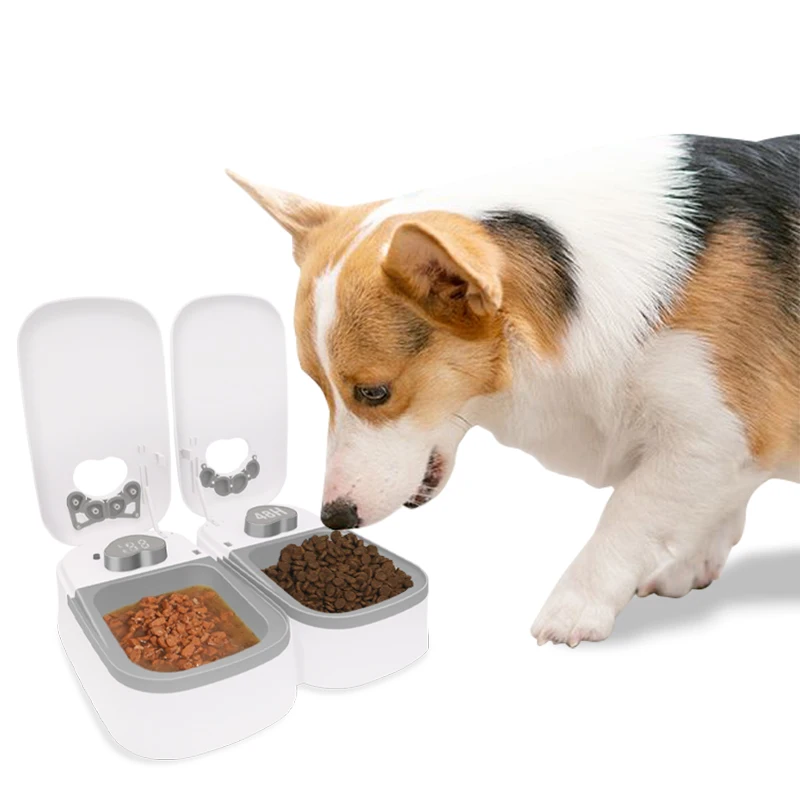 Factory Supply Automatic Cat Feeder Smart Cat Food Dispenser With Timer Setting Auto Dog Feeder