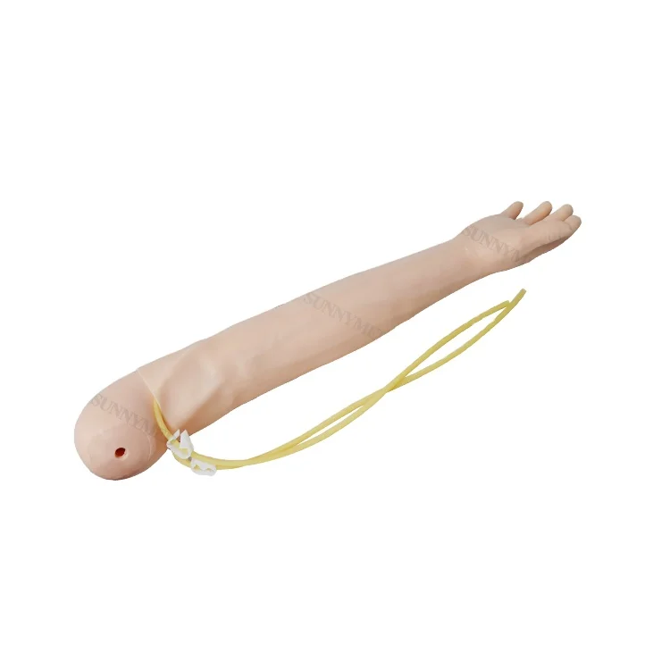 SY-N036 Medical Science Nursing Training Instrument Venipuncture & Intramuscular Injection Arm Model