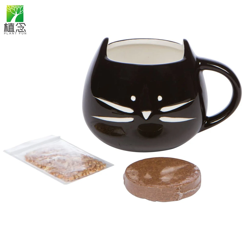 New arrival 100% Organic Cat Dog Grass seeds Growing Kit