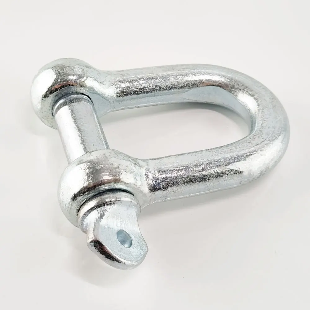 Stainless Steel 304/316 European Type Dee Shackle D Shackle Lifting
