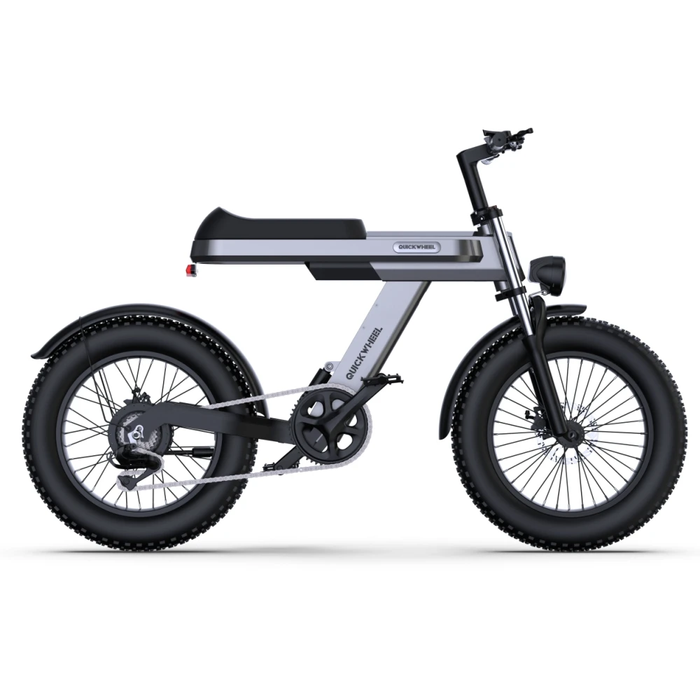 48V 15Ah Dual Motor 1000W Canada Market Strong Power 50KM/H Fast Ebike 15000Wat Electric Bicycle 20 Inch Electric Bicycle Kit