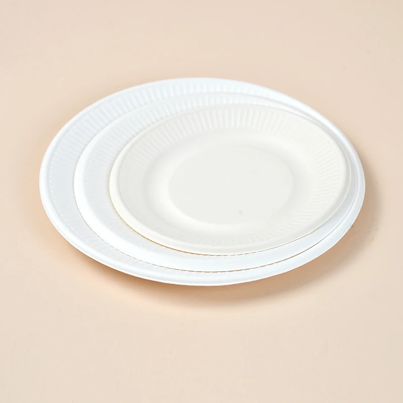Black Friday Sales  Eco friendly Paper plate disposable tableware  sugarcane bagasse paper pulp plates
