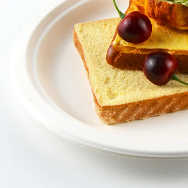 Eco Friendly Microwavable Dish for Restaurant Biodegradable Sugarcane Pulp Round Food 8inch Patterned tray disposable plates