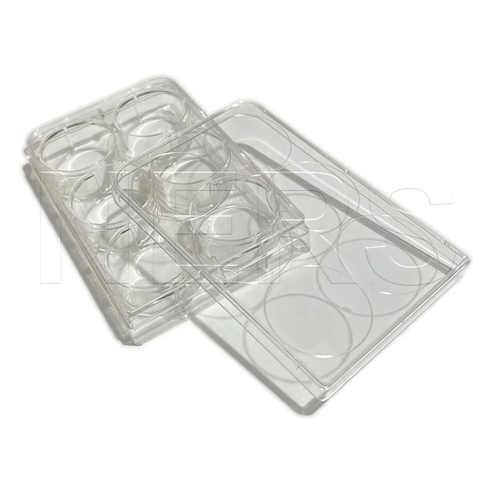 NERS Biological School Experiment Tools Clear Rectangular Plastic Reaction Plate with 6 Wells