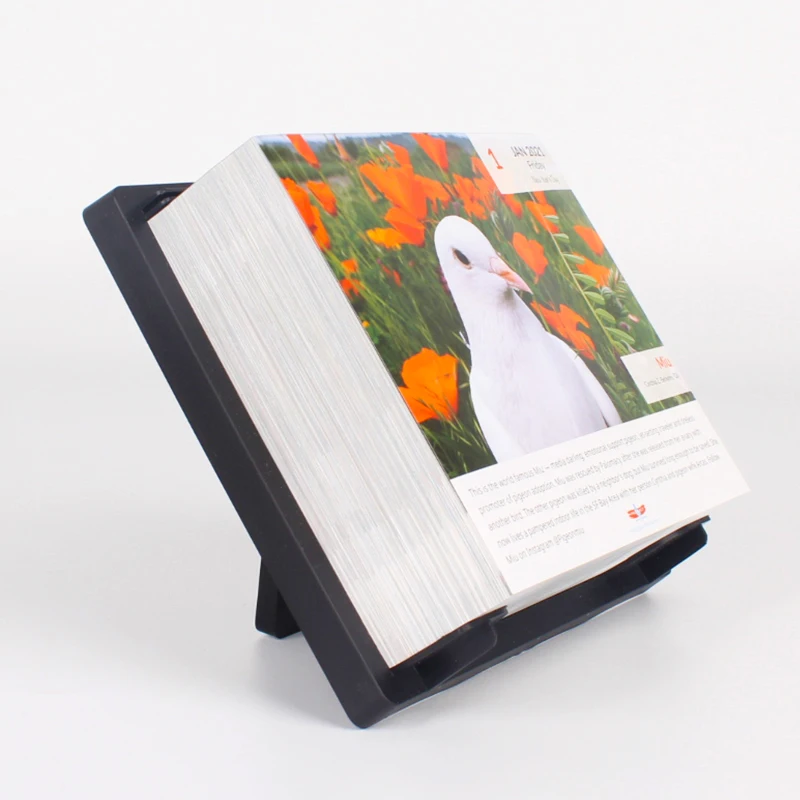 Wholesale Printing Gift Calendar Custom Printed Desktop 365 Day 2025 Planner Tear Off Table Calendar with Plastic Back Stand