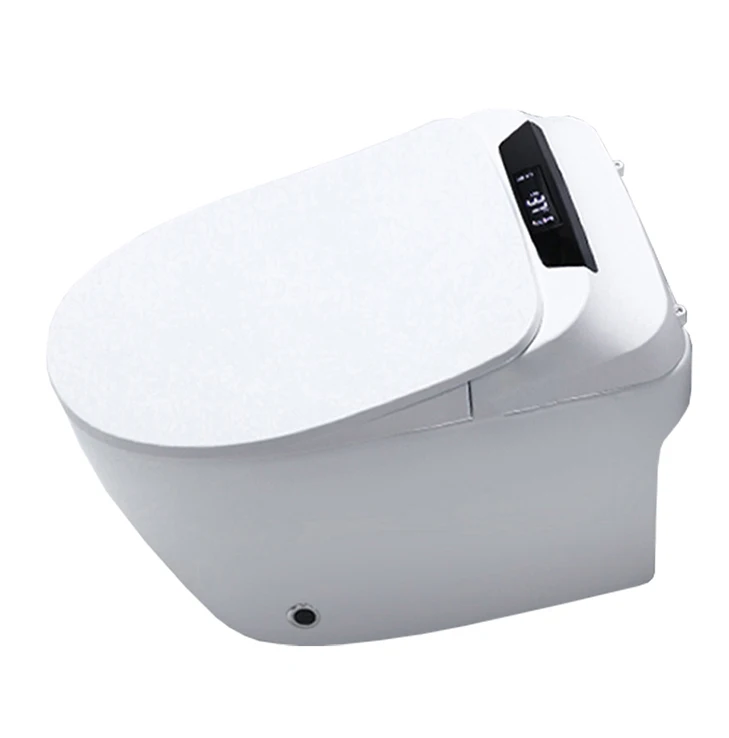SALA guangdong Factory Direct Sales price wc toilet electronic toilet