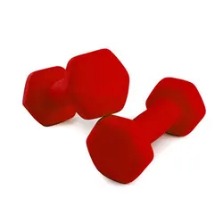 ENGINE Amazon Hot Selling Neoprene Coated Dumbbells Buy Online Dumbbell Hand Weights China