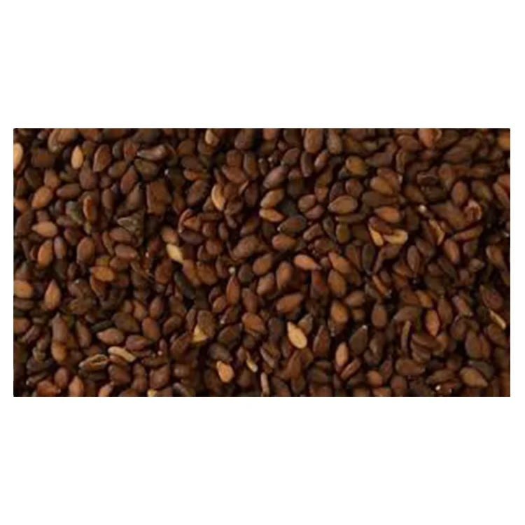2021 New Crop Brown Sesame Seeds Wholesale Bulk Supplier