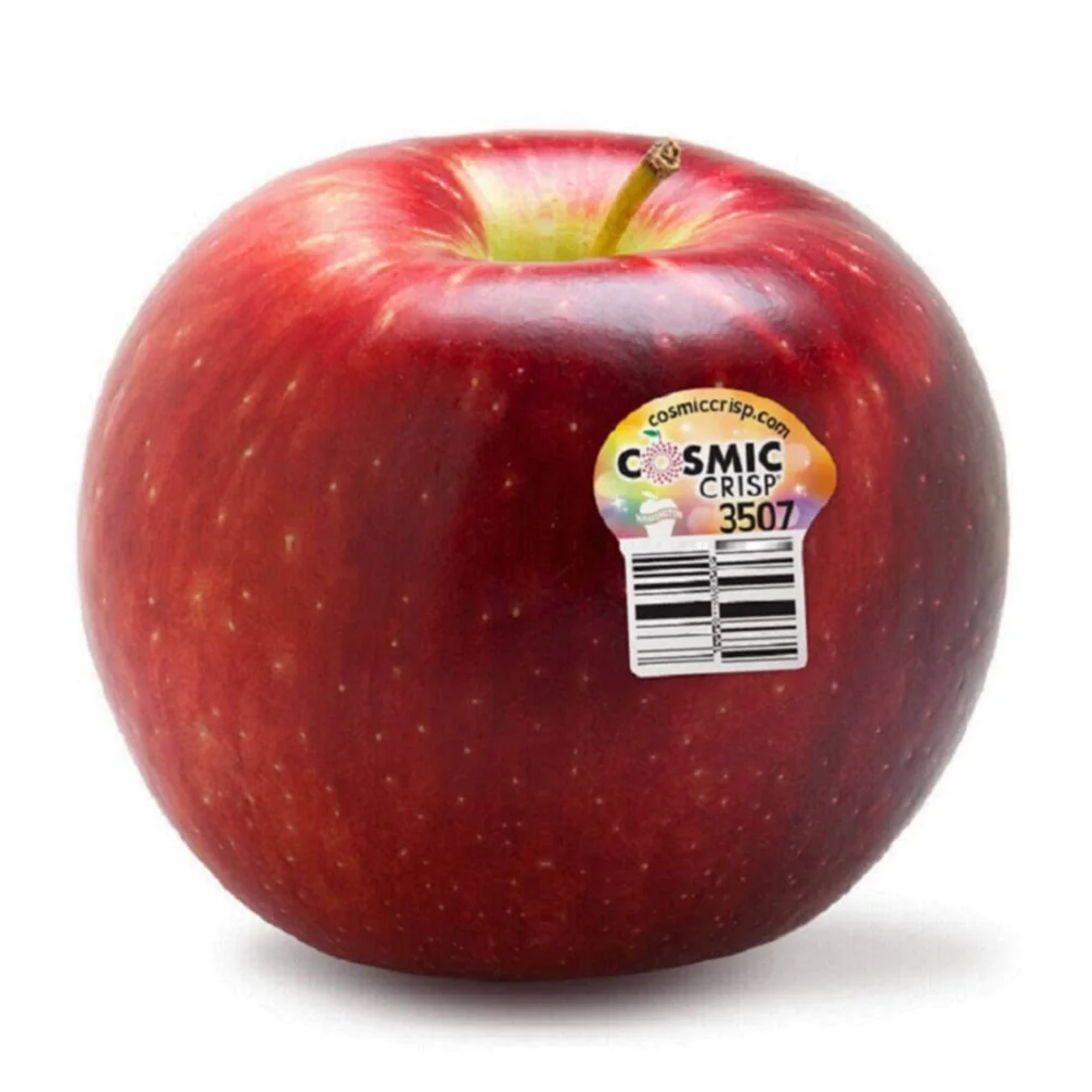 Премиум-класса, лучшее в своем классе, Wescott agroproducts, Inc. Космическое хрустящее яблоко, Сделано в США
