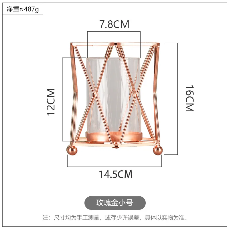 Ваза INS в металлической золотой рамке настольный Большой калибр Геометрическая прозрачная гидропонная стеклянная декоративная ваза для