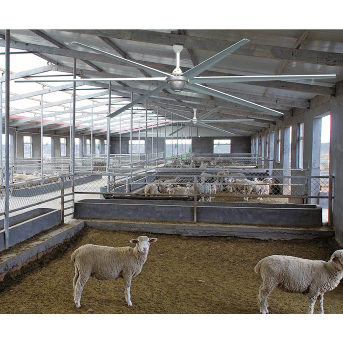 
3 generations of 7.3m 24 feet large permanent magnet gearless industrial ceiling fans for factory 