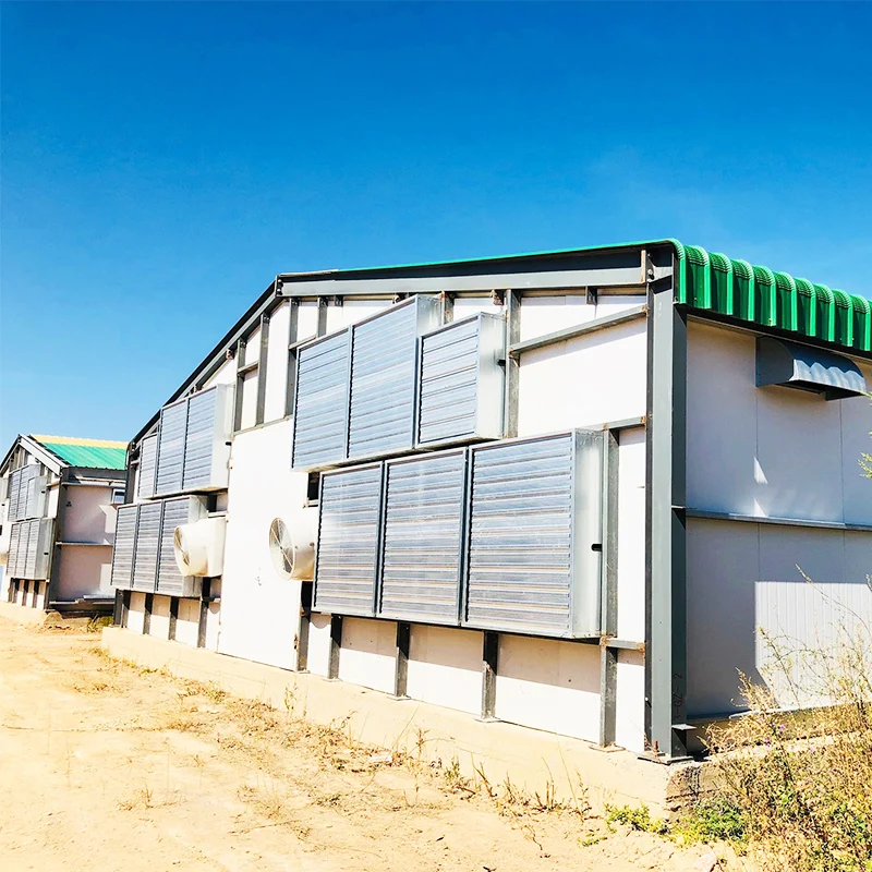 XGZ 1000 м2 большая пролетная сборная стальная конструкция птицеферма сарай кормушка для кур Птицеводство