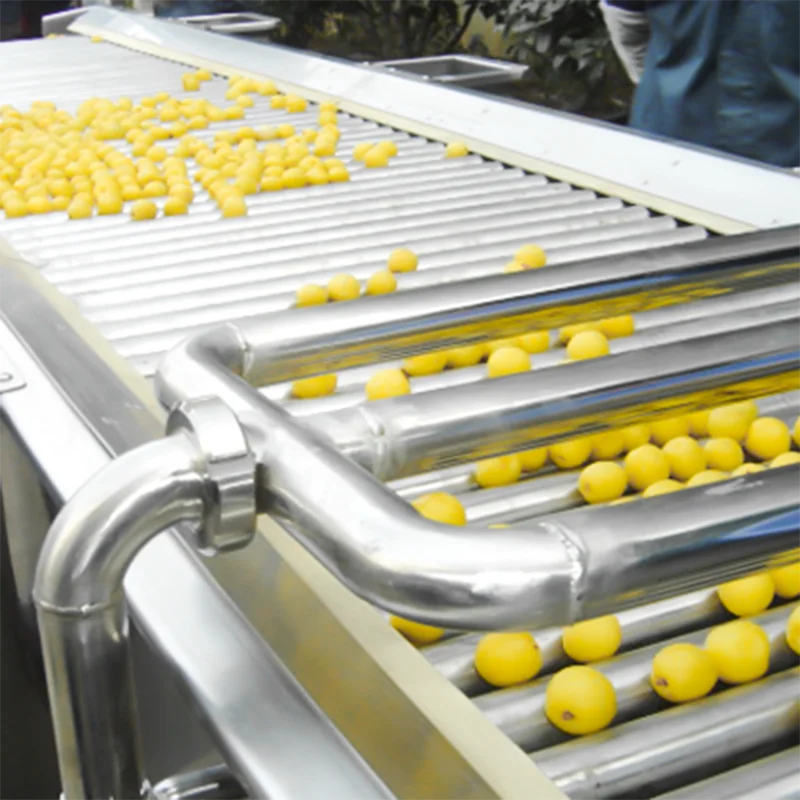 Canned yellow peach Genyond Automatic tin cans oranges food tangerine canning machine oranges production machine