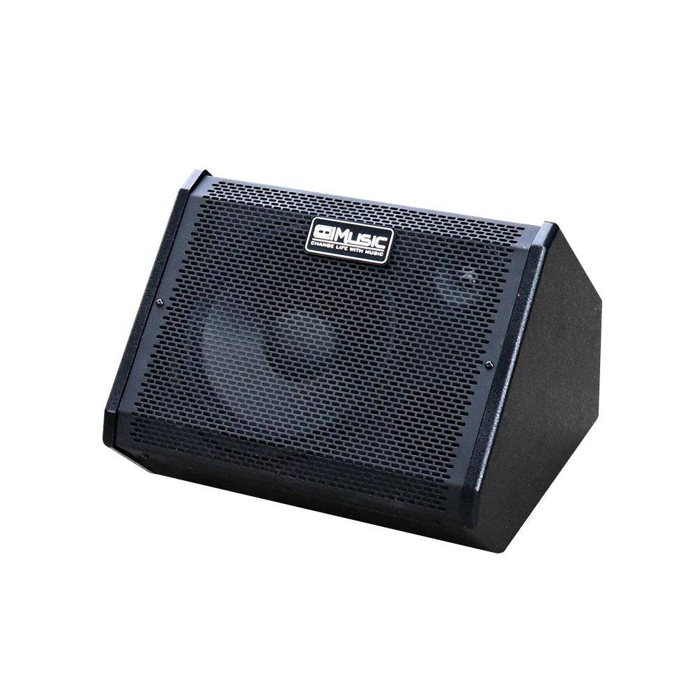 Chinese Factory Supply Big Power Personal Monitor Amplifier Electronic Drum Sets Amplifier Keyboard Speaker 80W with 2 Input