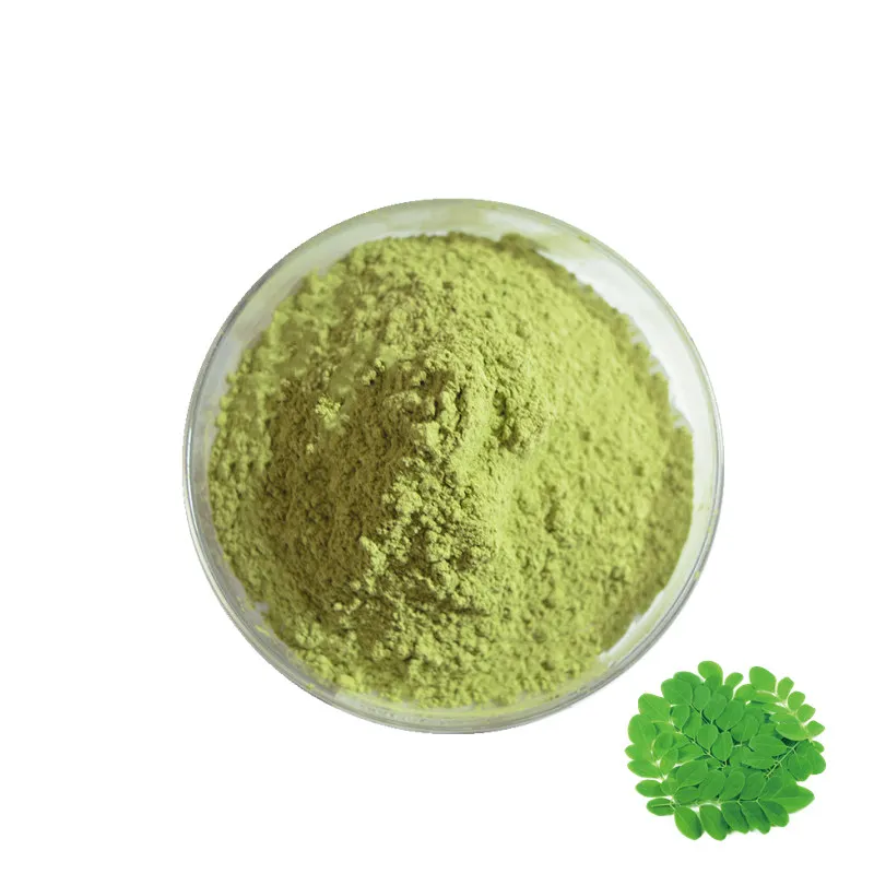 High Quality Moringa Leaves Powder Supplier From India/Malunggay extract 5:1 10:1/Moringa powder