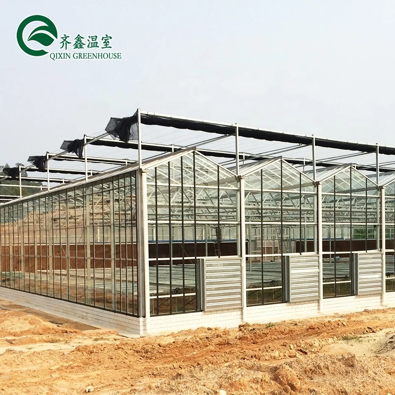 venlo pc  sheet Galvanized Steel Pipe Greenhouse with aeroponic system