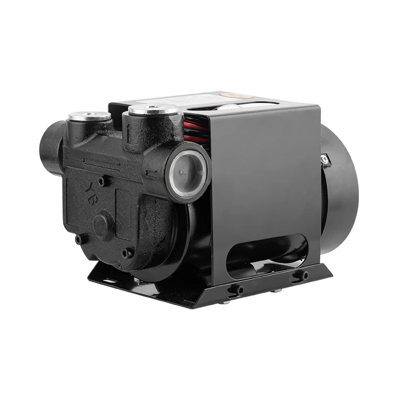 Zheming 12 Volt Oil-Pump-Electric-12-V-For-Car Portable Electric Small Car Transfer Pump Oil Fuel