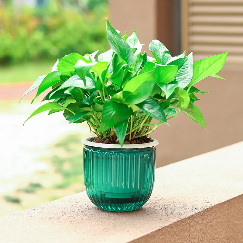 Small transparent self watering home decor plastic flower pot automatic water absorption flower pot