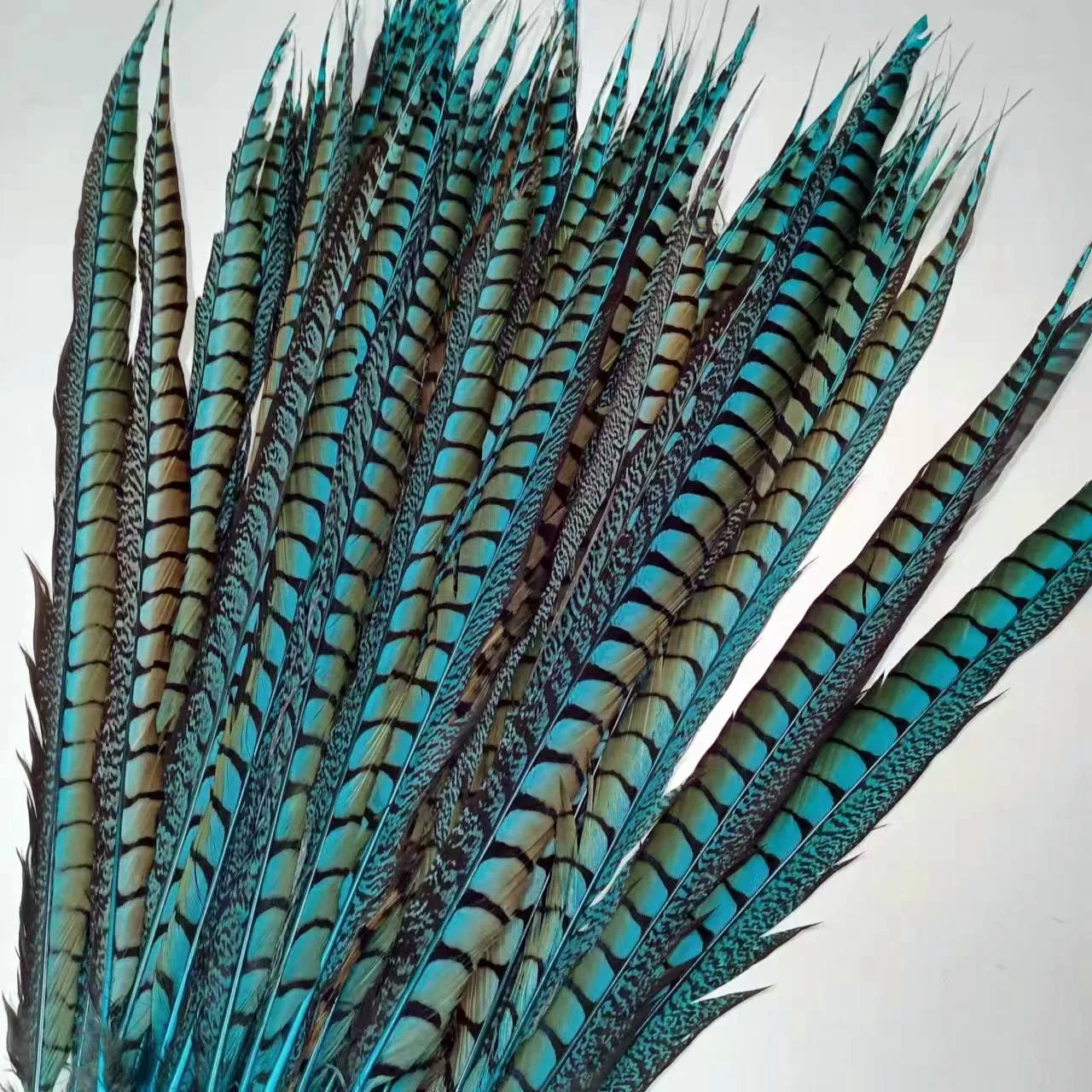Ремесленное перо индивидуальные цвета заводская цена Женский хвост перья фазана для карнавального декора Самба