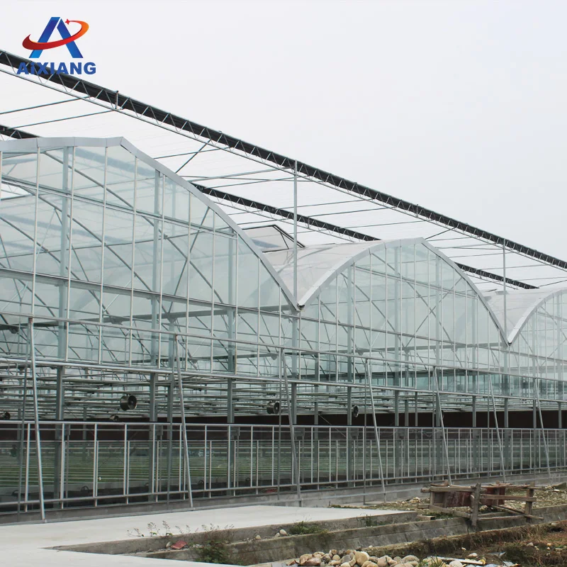 
Hot sale commercial glass greenhouse shade green house for plants/vegetable/flowers 