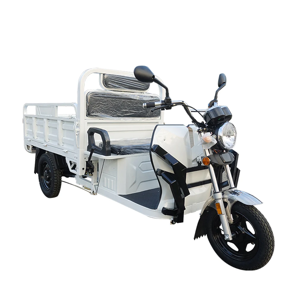 Chinese electric tricycle Good quality and low price cargo and passenger adult electric Tricycle motorcycle