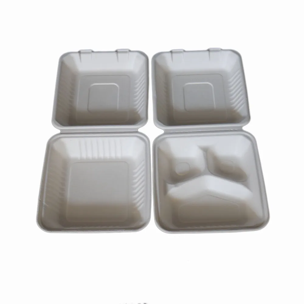 disposable biodegradable molded pulp packaging container for food