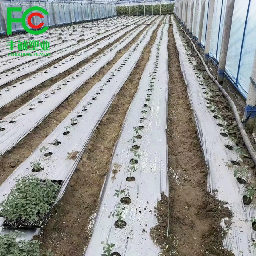 Agricultural Black Plastic Ground Cover Silver&Black Mulching Paper Greenhouse Mulch Film