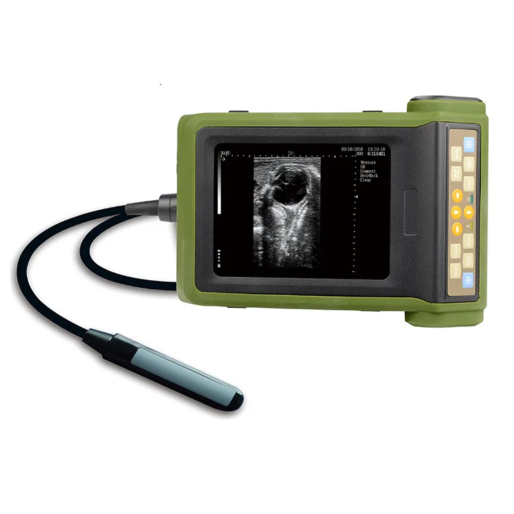 Veterinary Medical Equipment Diagnostic Portable Digital Ultrasound B Scanner RKU-10 for Animals