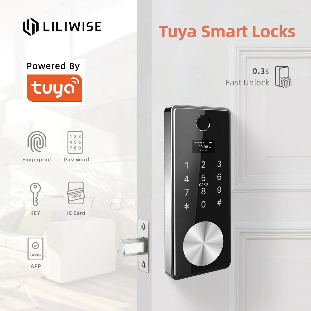 Цифровой Дверной смарт-замок Tuya с поддержкой Wi-Fi и датчиком отпечатка пальца