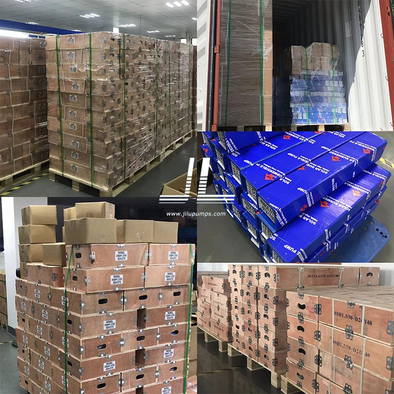 3SPC5/180-D120/1500  BLDC solar water pump submersible pump  with MPPT controller