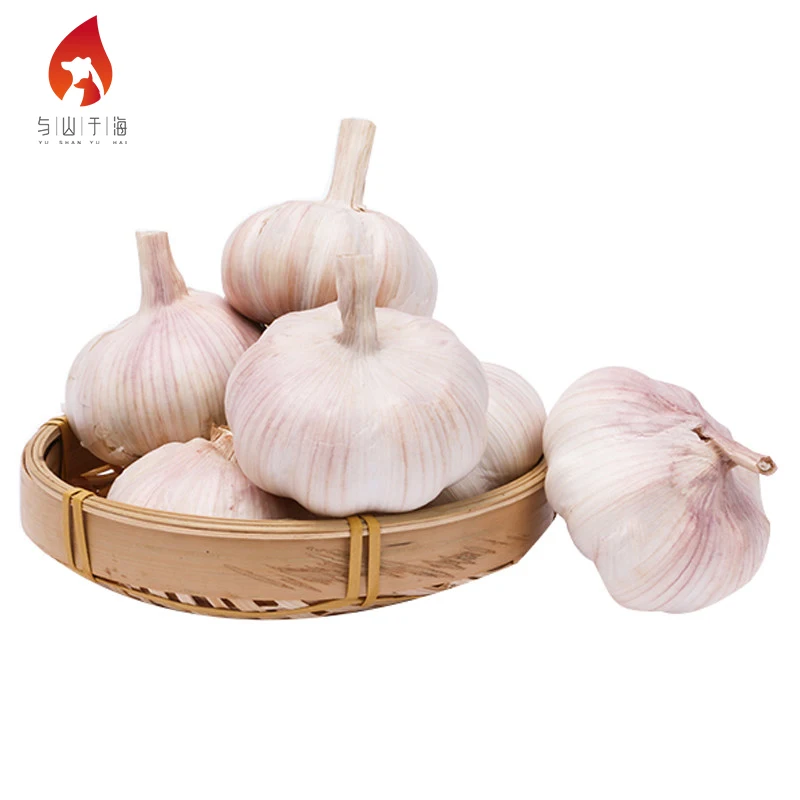 High Quality Health Food Garlic Wholesale Market Price Fresh Garlic