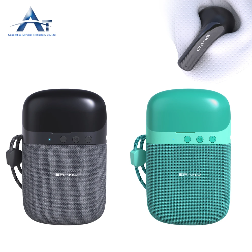 Factory Price Newest 2 in 1 Wireless Blue Tooth TWS Earphone BT Speaker with Earbuds