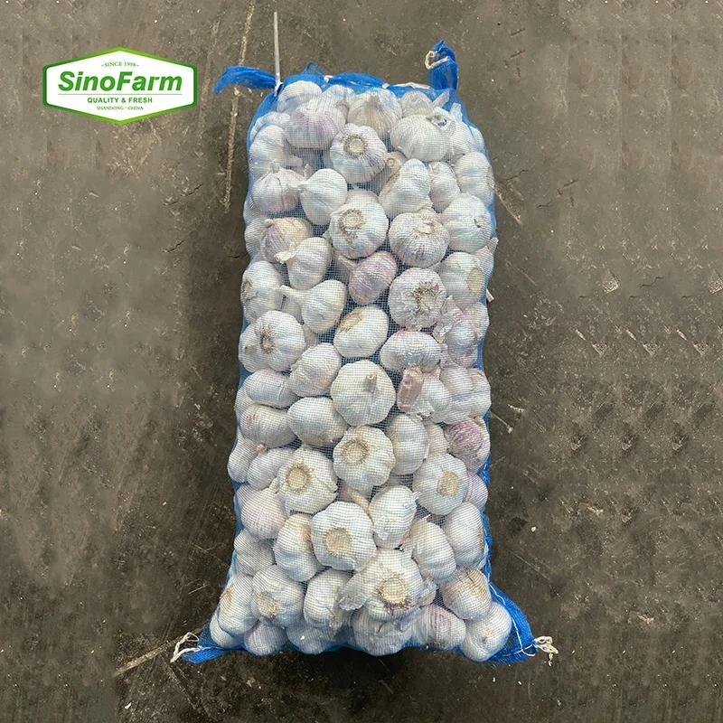 Wholesale Purple Single Clove Peel White Garlic G1 Garlic Seed Buyer for Sale