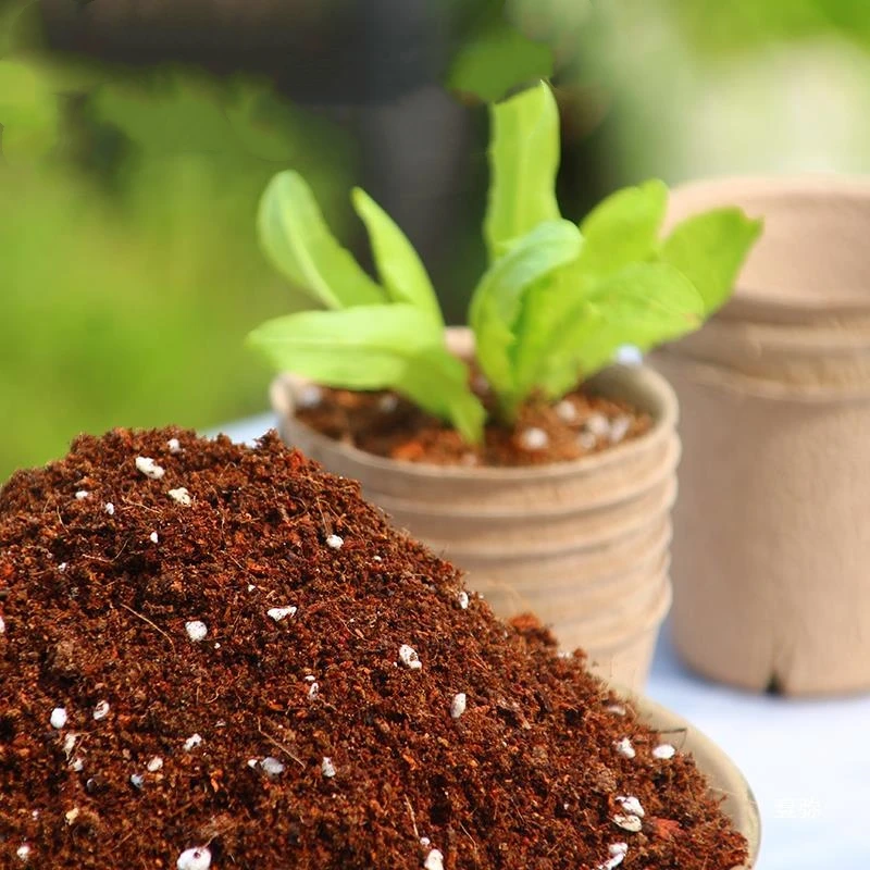 Best Selling Recycled Garden Starter Set for Herb & Flower Growing Includes Bonsai Planters & Pots