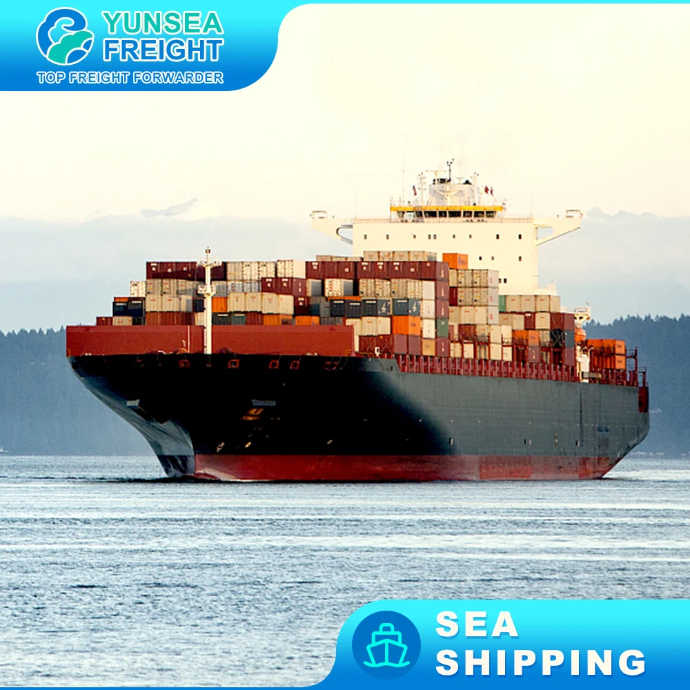 To Berne faster  Cargo DDU DDP Shipping Sea Freight Forwarder Cheapest Charge Rates Ocean Transportation to USA Transit Time
