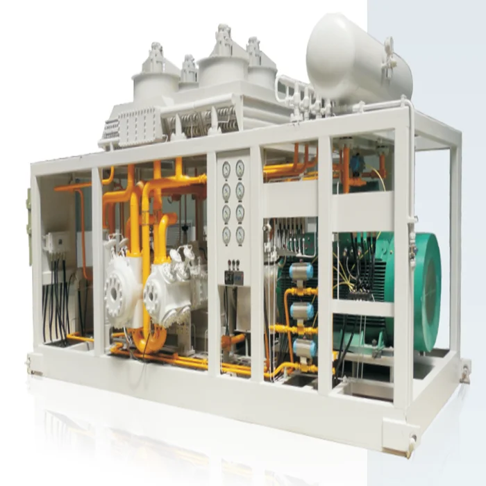 Good quality 200 bar to 250 bar CNG Mother/Standard Station Compressor for car refueling